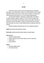 Referāts 'Komunikācijas loma organizācijā', 3.