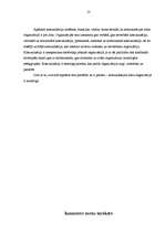 Referāts 'Komunikācijas loma organizācijā', 13.