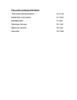 Referāts 'Tilta balsta pamats ', 7.