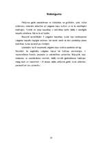 Referāts 'Kapu kultūra Latgalē', 25.