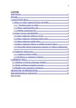 Referāts 'Uzņēmējdarbības ekonomiskās priekšrocības un trūkumi mazā uzņēmumā', 3.