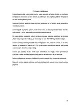 Prakses atskaite 'Prakse SEB AB Rīgas filiālē', 19.