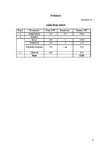 Prakses atskaite 'Prakse SEB AB Rīgas filiālē', 21.