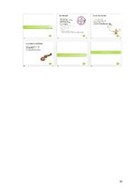 Prakses atskaite 'Prakse SEB AB Rīgas filiālē', 30.