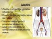 Prezentācija 'Urīnceļu infekcijas', 3.