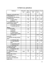 Referāts 'Vienistabas dzīvokļa pārveidošana par skaistumkopšanas salonu', 23.