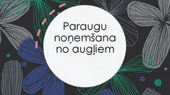 Prezentācija 'Paraugu noņemšana no augļiem', 1.