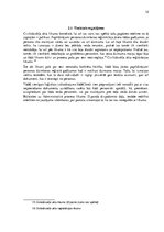 Referāts 'Dzimuma maiņas tiesības cilvēka pamattiesību kontekstā', 12.