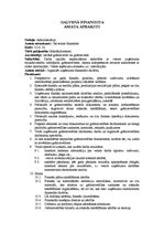 Paraugs 'Amata apraksts. Galvenais finansists', 1.