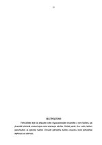 Referāts 'Pašvaldības budžets un budžetspēja', 17.