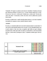 Referāts 'E vielas pārtikas produktos', 20.