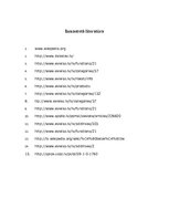 Referāts 'E vielas pārtikas produktos', 33.