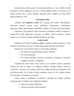 Referāts 'Uzņēmējdarbības finansēšanas avoti', 13.