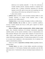 Referāts 'Uzņēmējdarbības finansēšanas avoti', 18.