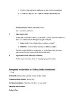 Prakses atskaite 'Sākumskolas prakse', 6.