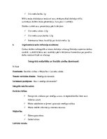 Prakses atskaite 'Sākumskolas prakse', 9.