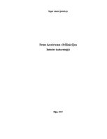 Referāts 'Seno Austrumu civilizācijas', 1.