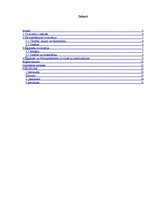 Referāts 'Seno Austrumu civilizācijas', 2.