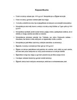 Referāts 'Seno Austrumu civilizācijas', 10.