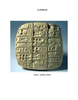 Referāts 'Seno Austrumu civilizācijas', 14.