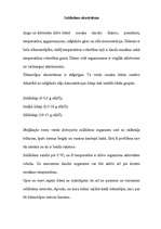 Referāts 'Hidrosfēra', 5.