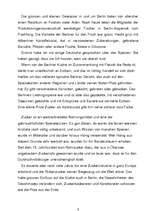 Referāts 'Berliner Küche', 6.