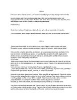 Konspekts 'Antona Čehova lugas "Kaija" analīze', 2.