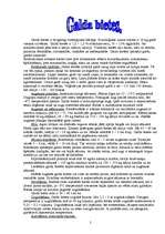 Referāts 'Galda bietes', 2.