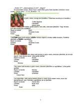 Referāts 'Galda bietes', 3.