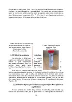 Referāts 'Fitoncīdus saturošu augu antimikrobiālās aktivitātes salīdzinājums ar sintētiska', 13.