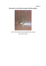 Referāts 'Fitoncīdus saturošu augu antimikrobiālās aktivitātes salīdzinājums ar sintētiska', 23.