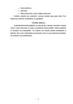 Referāts 'Iepirkšanās internetā', 6.