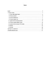 Referāts 'Latvijas tūrisma nozares attīstības analīze', 3.