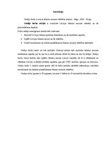 Referāts 'Latvijas tūrisma nozares attīstības analīze', 4.