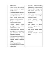 Referāts 'Latvijas tūrisma nozares attīstības analīze', 35.