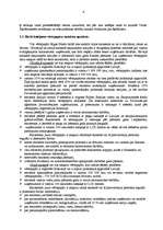 Referāts 'Rīgas Fondu birža', 6.