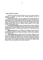 Referāts 'Rīgas Fondu birža', 10.