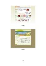 Prakses atskaite 'Prakse fondā "Ziedot.lv"', 16.