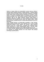 Referāts 'Elektromagnētiskais starojums un aizsardzība pret to', 3.