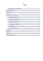 Referāts 'Septiņi pasaules brīnumi', 2.