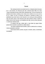 Referāts 'Septiņi pasaules brīnumi', 3.