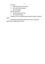 Referāts 'Septiņi pasaules brīnumi', 14.