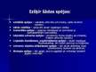 Prezentācija 'Pamatskolas skolēnu apdāvinātība kā radošu personību īpašība', 14.