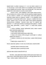 Referāts 'Finanšu analīzes principi', 9.