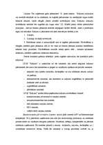 Referāts 'Finanšu analīzes principi', 13.