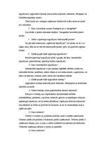 Konspekts 'Grāmatvedības bilance', 2.