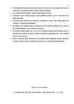 Referāts 'Reklāmas teksta nozīme, tā sastādīšana un uztvere', 11.