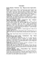 Referāts 'Piepes jeb piepjusēnes', 17.