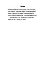 Biznesa plāns '"Venden+" - akvaparks', 11.