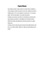 Biznesa plāns '"Venden+" - akvaparks', 12.